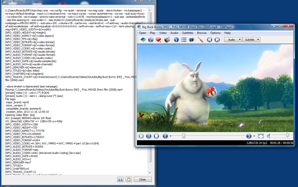 mplayer executable